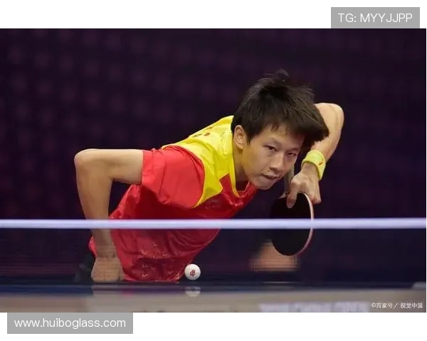 上海乒乓球队总决赛精彩表现分析与实力评估