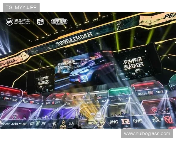 热议和平精英RNG战术变革背后的深层原因与未来发展趋势分析