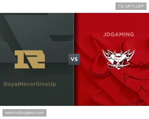 赛后分析：RNG与JDG对决中的战术意识与团队配合探讨